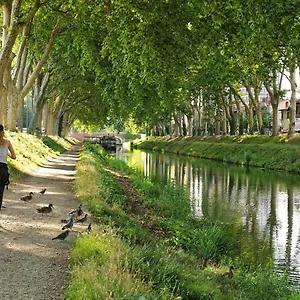 Apartamento Cosy Et Calme Hypercentre, Toulouse